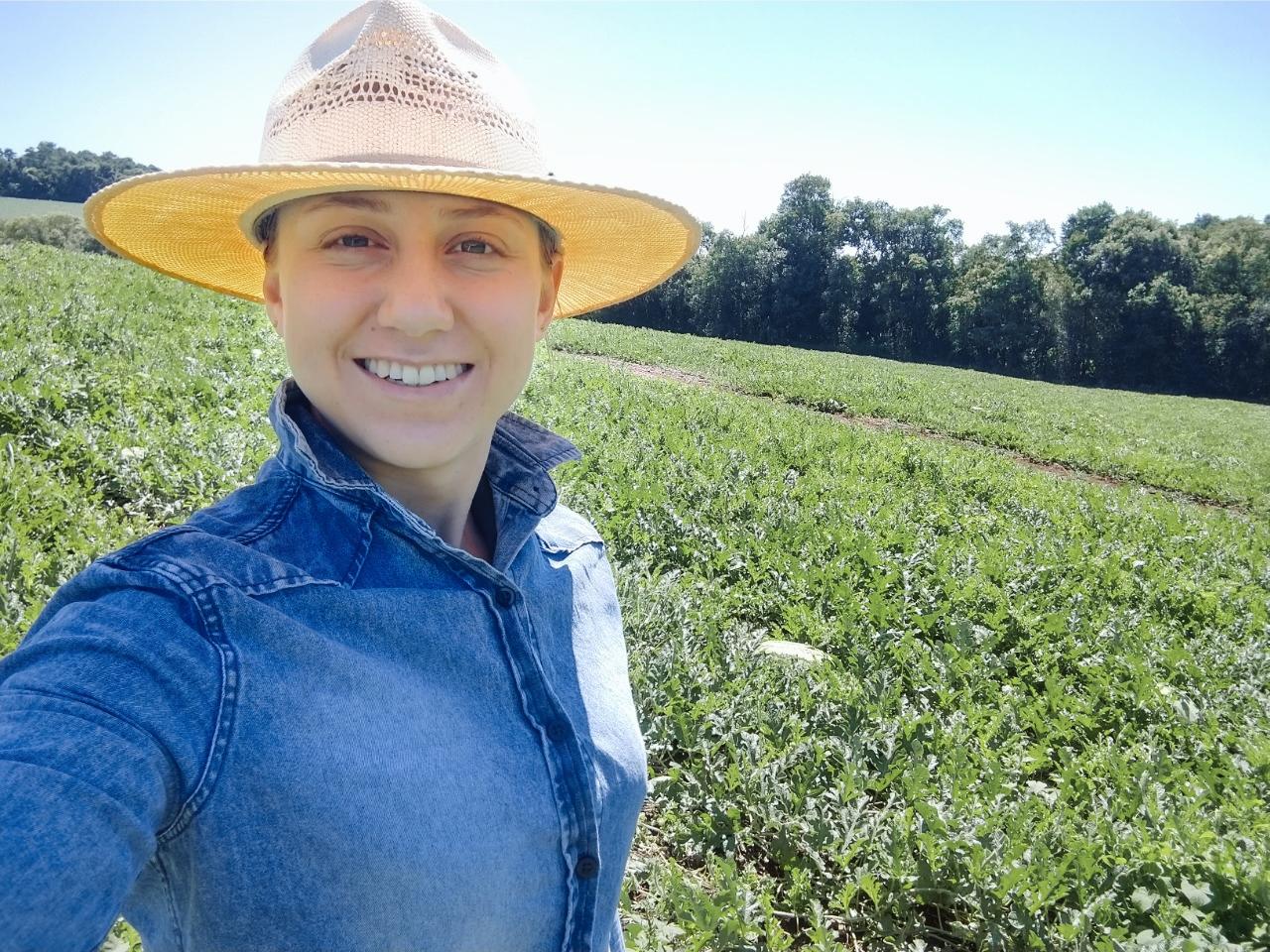 Melancia é Terceira Fruta Mais Produzida No Brasil Agrishow 9023